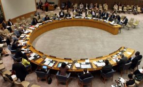 Timor-Leste e Nova Zelândia defendem reforma do Conselho de Segurança da ONU