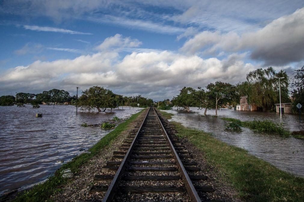 Polícia do Brasil investiga concurso para compra de arroz cancelado pelo Governo