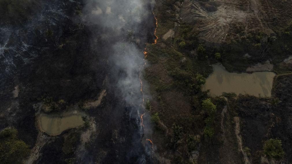 Brasil avança para criação de um centro regional de segurança da Amazónia