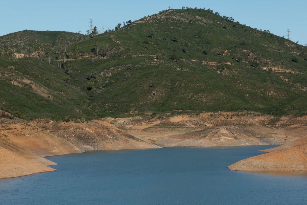 Agricultores algarvios lamentam atraso na publicação do alívio de restrições