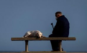 Câmara de Lisboa aprova criação de cemitério municipal para animais de companhia