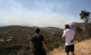 Incêndio florestal perto de Atenas e risco muito elevado em 6 regiões gregas