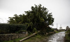 Tempestade em França provoca três mortes
