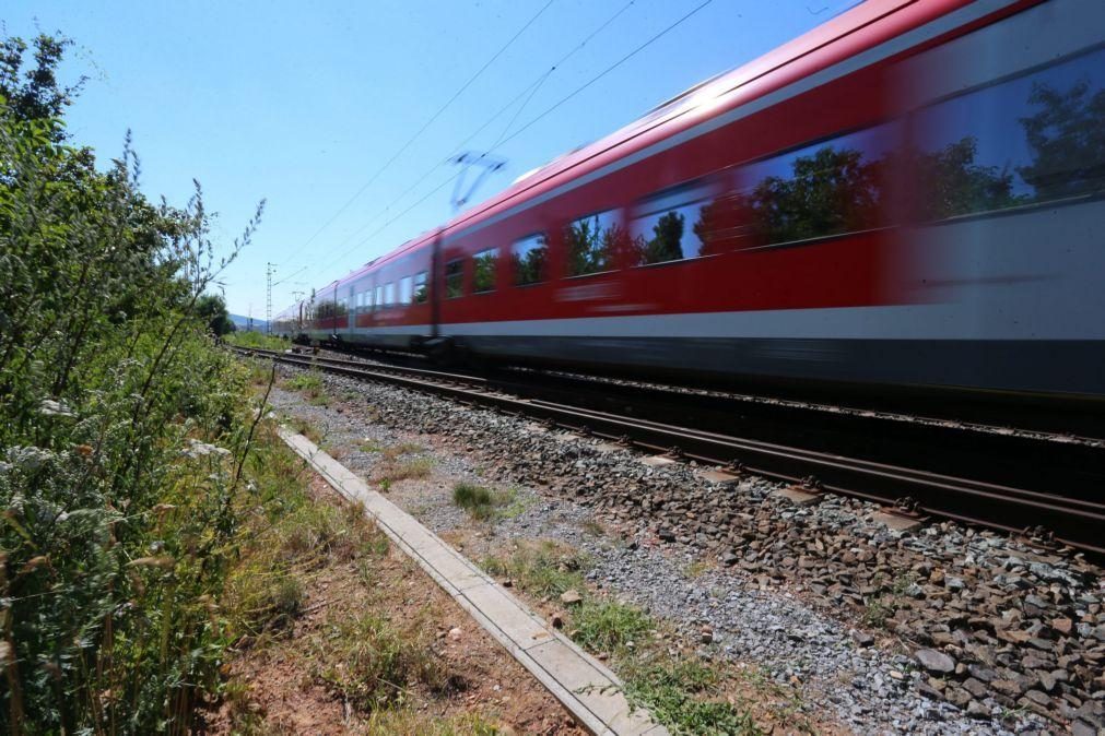 AR recomenda aprovação do Plano Ferroviário Nacional após debate com acusações entre PSD e PS