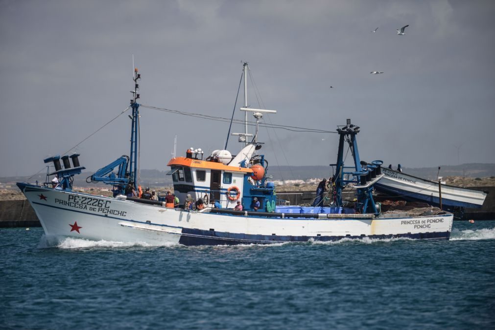 Pescadores podem candidatar-se a apoio de 1,3 ME face à proibição da pesca do espadarte