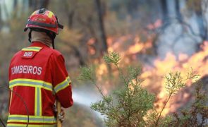 Dezoito concelhos de Faro, Bragança e Portalegre em perigo máximo de incêndio