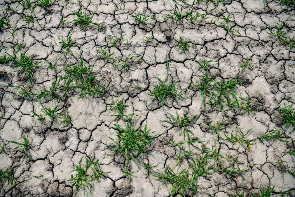 Seca meteorológica diminuiu em junho, mas intensidade agravou no sotavento