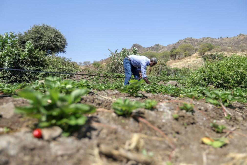 Governo cabo-verdiano entrega terrenos a agricultores e criadores de animais