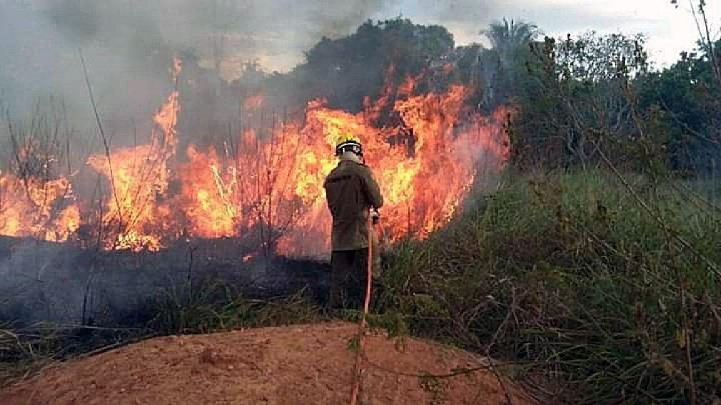 Governo do Brasil diz que foram apagados metade dos incêndios no bioma Pantanal