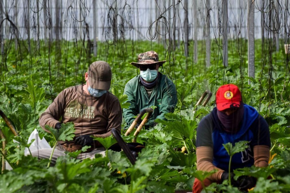 CAP defende atração de imigrantes e pacto para habitação para evitar 