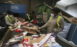 Portugueses reciclaram mais 3% de embalagens no 1º semestre