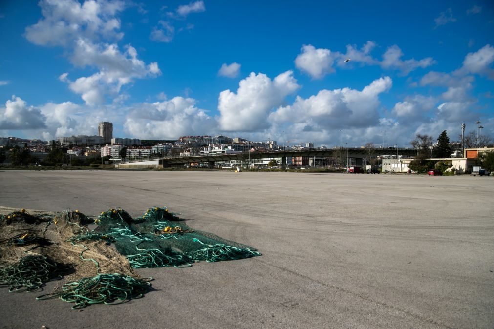 Porto de Lisboa acena com Paço de Arcos a armadores e pescadores de Pedrouços