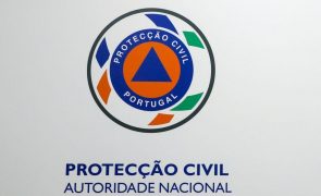 Proteção Civil recebe hoje 24 novos veículos de comando