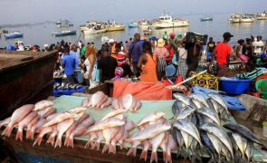 Angola perde anualmente 211 milhões de euros com a pesca ilegal