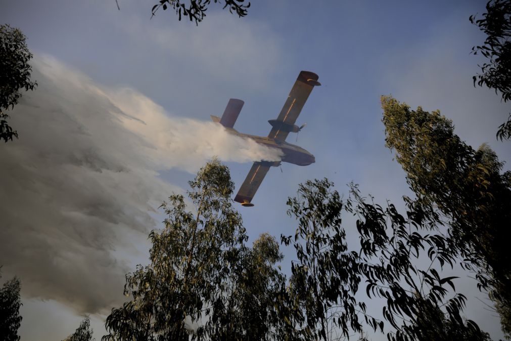 Bruxelas apoia Portugal na compra de 2 aviões Canadair para combater fogos