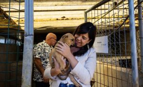 PAN quer 18 de julho como Dia Nacional do Resgate Animal