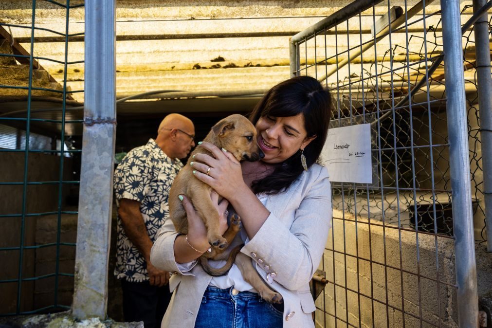 PAN quer 18 de julho como Dia Nacional do Resgate Animal