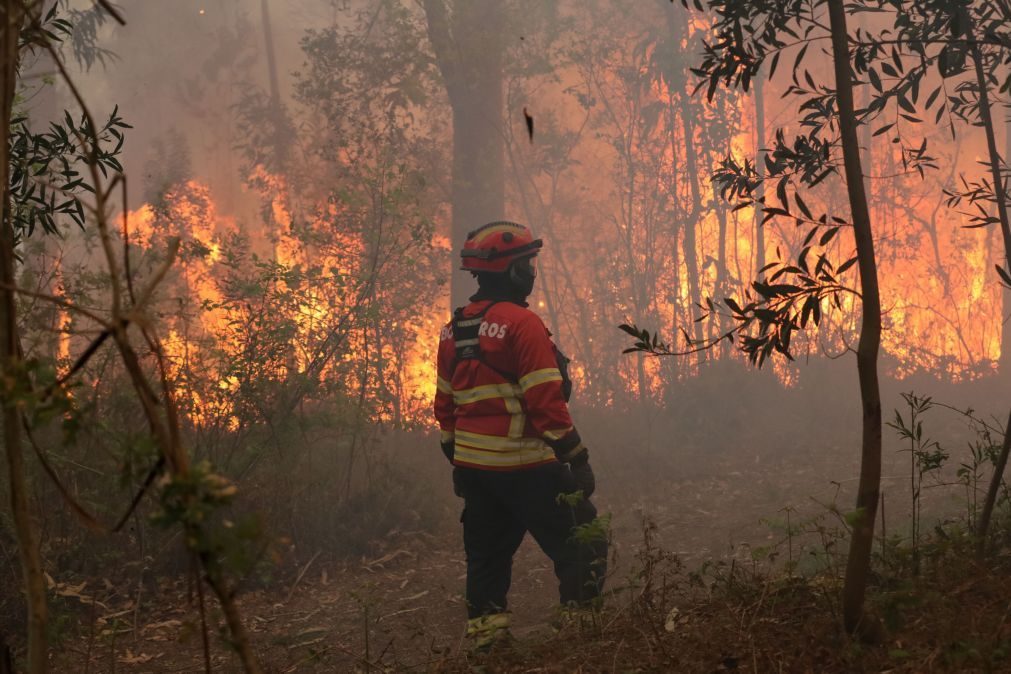 Fogo em Pombal mobiliza 295 operacionais e sete meios aéreos