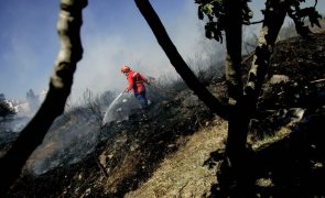 Cerca de 40 concelhos de sete distritos em perigo máximo de incêndio