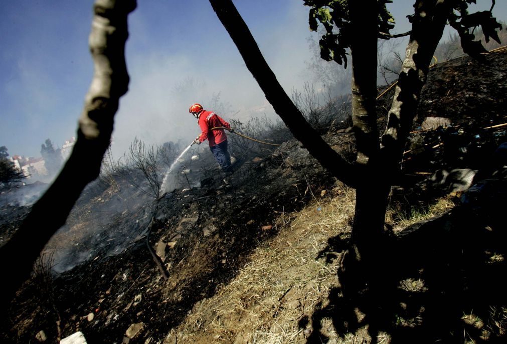 Cerca de 40 concelhos de sete distritos em perigo máximo de incêndio