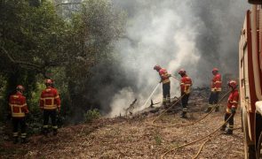 Cerca de 40 concelhos de sete distritos em perigo máximo de incêndio