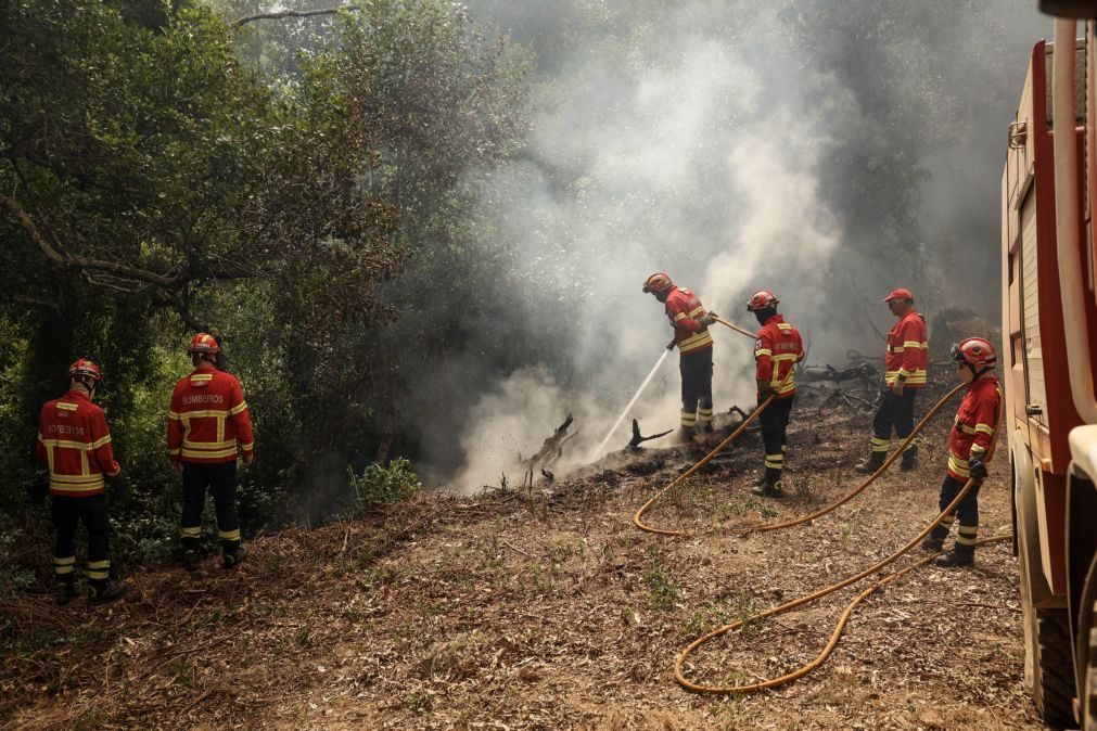 Cerca de 40 concelhos de sete distritos em perigo máximo de incêndio