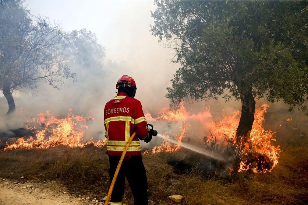 Mais de 200 operacionais combatem fogo em Alcabideche