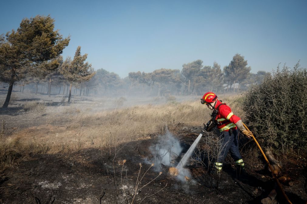 Fogo de Alcabideche dominado, 14 feridos ligeiros e 30 cavalos resgatados