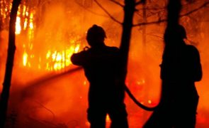 Mais de 50 concelhos de oito distritos em perigo máximo de incêndio