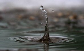 Portugal partilha da preocupação do G20 sobre resiliência da água - secretária de Estado