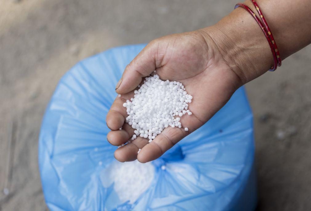 Falta arroz no mercado guineense, Governo promete resolver situação brevemente