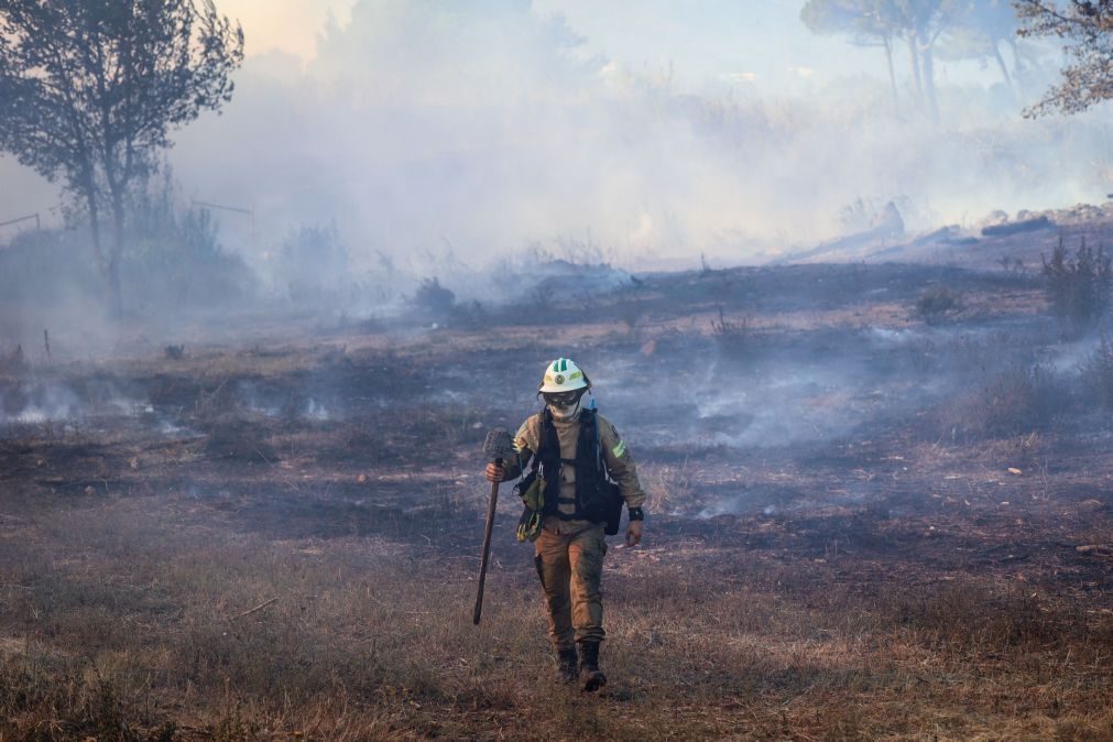 Incêndios: Fogos em Leiria e na Batalha em resolução e vigilância