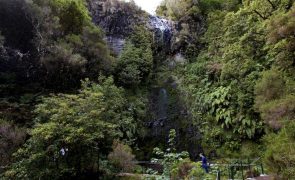 Candidatura das Levadas da Madeira à UNESCO retirada para incluir canais privados