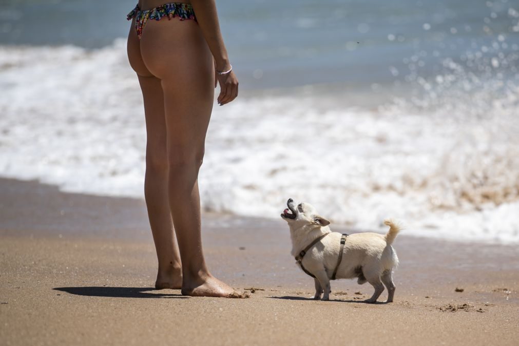 Desaconselhada ida a banhos nas praias Seca e da Frente Azul em Espinho