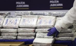 Apreendidos pela PJ mais de 17 quilos de cocaína no porto de Sines