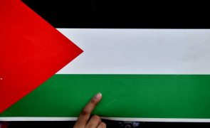 A Palestina não é sobre bandeiras nem países, é sobre direitos humanos - DAM