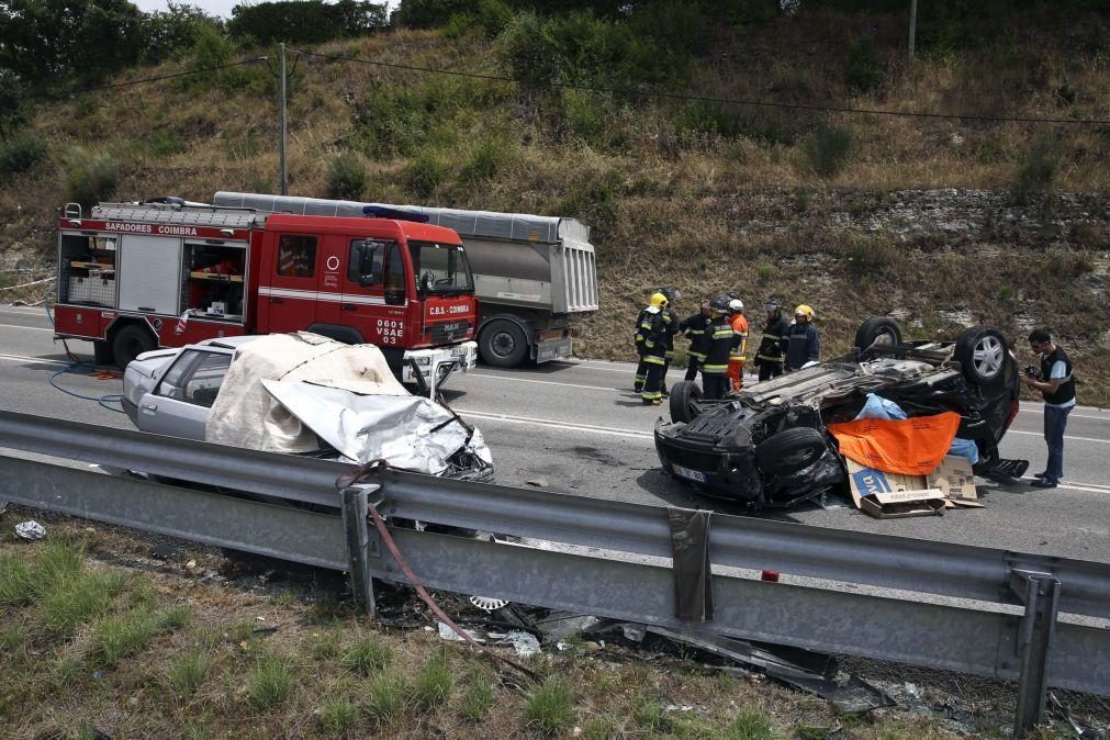 Acidentes rodoviários matam 41 pessoas no primeiro semestre de 2024