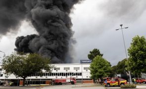 Mais de 80 operacionais estão a combater incêndio na zona industrial do Porto