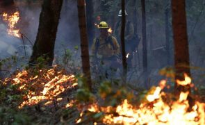 Incêndios na Califórnia estão mais controlados, mas continuam evacuações