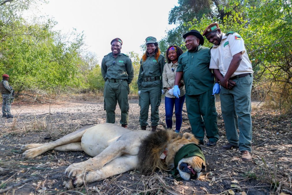 PR de Moçambique 