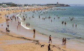 Associação Zero alerta para agravamento da qualidade da água nas praias portuguesas