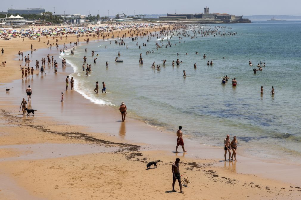 Associação Zero alerta para agravamento da qualidade da água nas praias portuguesas