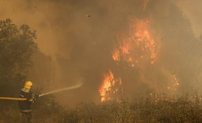 Cerca de 50 concelhos do interior Norte e Centro e município de Tavira em risco máximo de incêndio