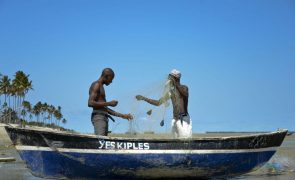 Pesca artesanal em Moçambique envolve 400 mil pessoas e mais de 42 mil embarcações