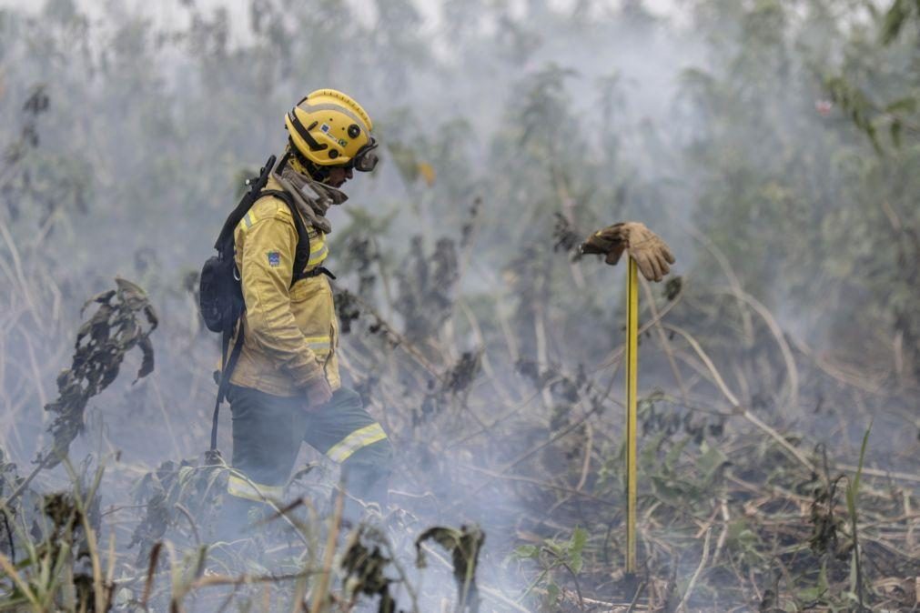 Portugal envia dois especialistas para colaborar no combate aos incêndios no Pantanal