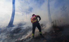 Dominado um dos dois incêndios que lavravam no distrito de Bragança