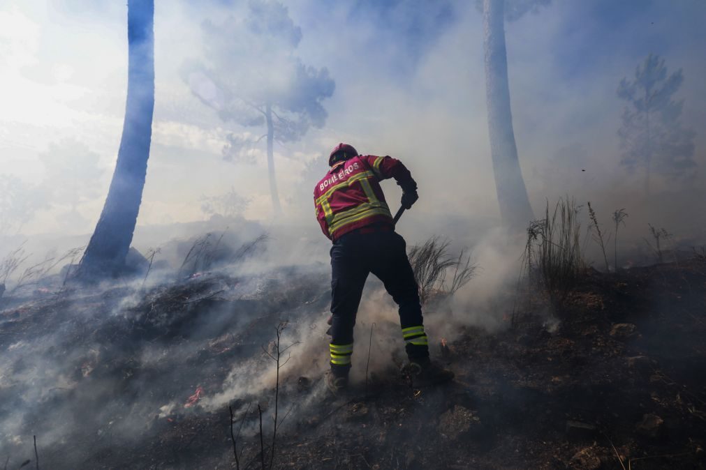 Dominado um dos dois incêndios que lavravam no distrito de Bragança