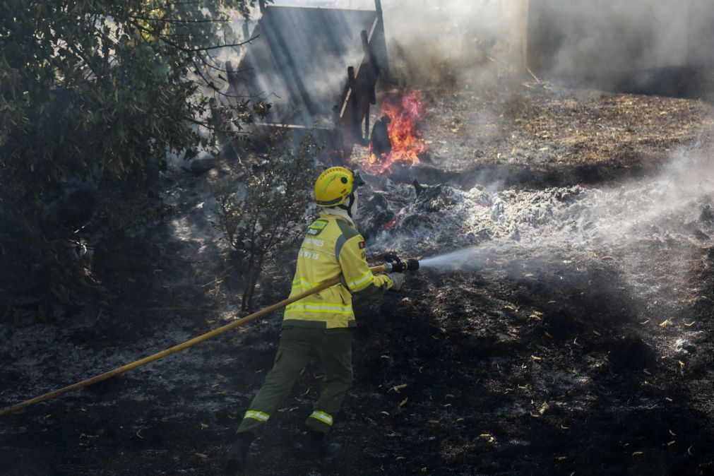 Mais de 50 concelhos do interior Norte e Centro em risco máximo de incêndio