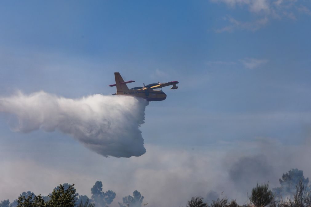 Seis meios aéreos e quase 290 bombeiros combatem chamas no Parque Natural de Montesinho