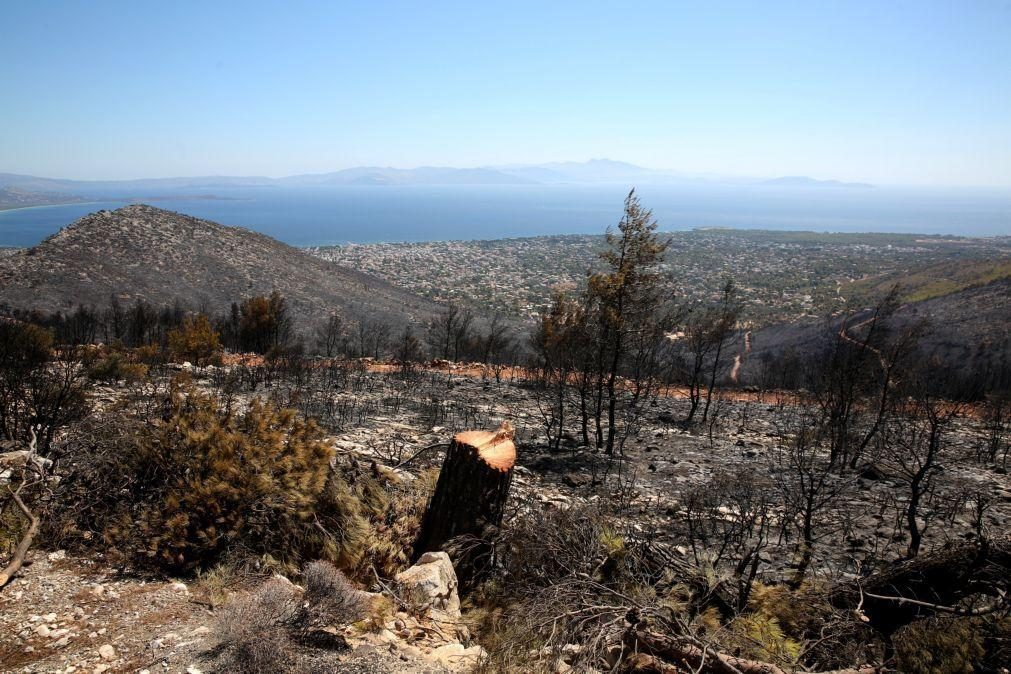 Incêndio na região de Atenas já devastou 10.000 hectares e matou uma pessoa